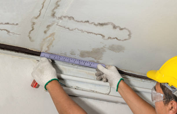 Reliable Water Damage contractor in Hannibal, MO by Water Damage Irwin
